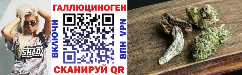 Псилоцибиновые грибы Psilocybine cubensis hydra зеркало Каспийск купить наркотик