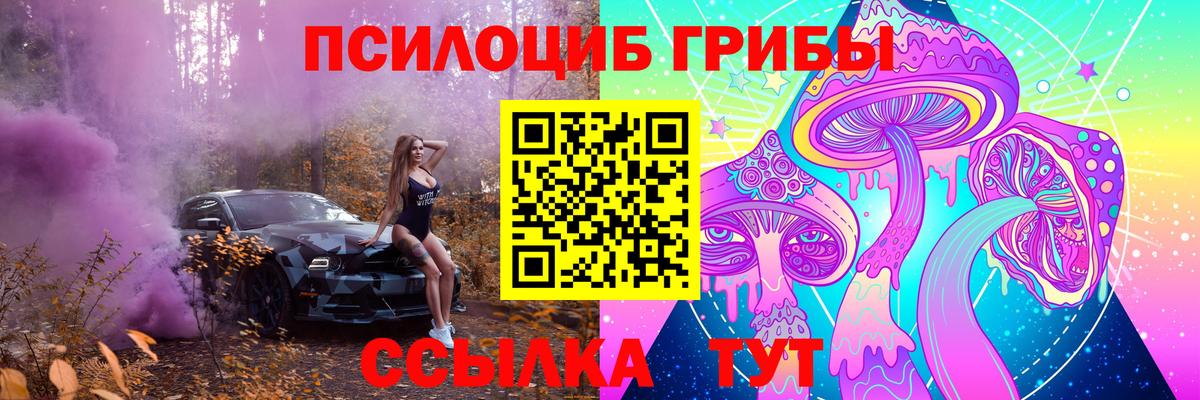 Каспийск  Галлюциногенные грибы мицелий  Вход с VPN 