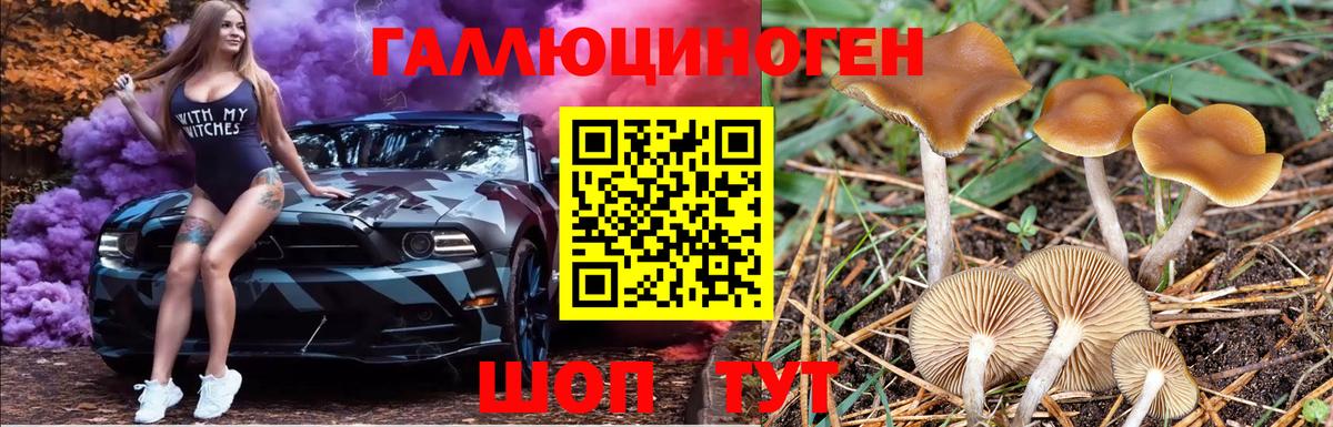 Псилоцибиновые грибы мицелий Каспийск